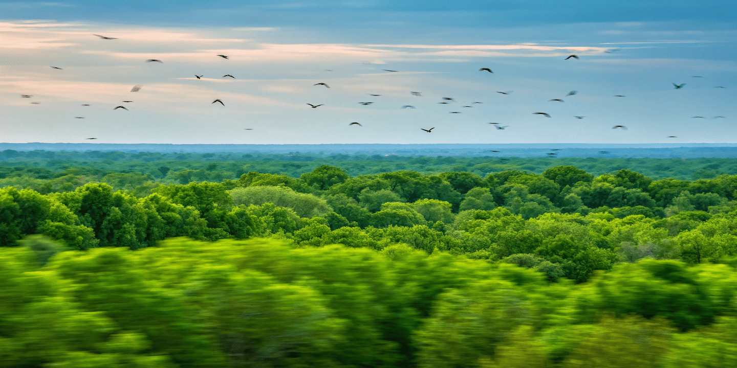 Image-to-Video Transformation